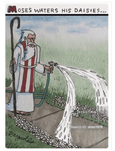 Moses using his staff to water a bed of daisies.