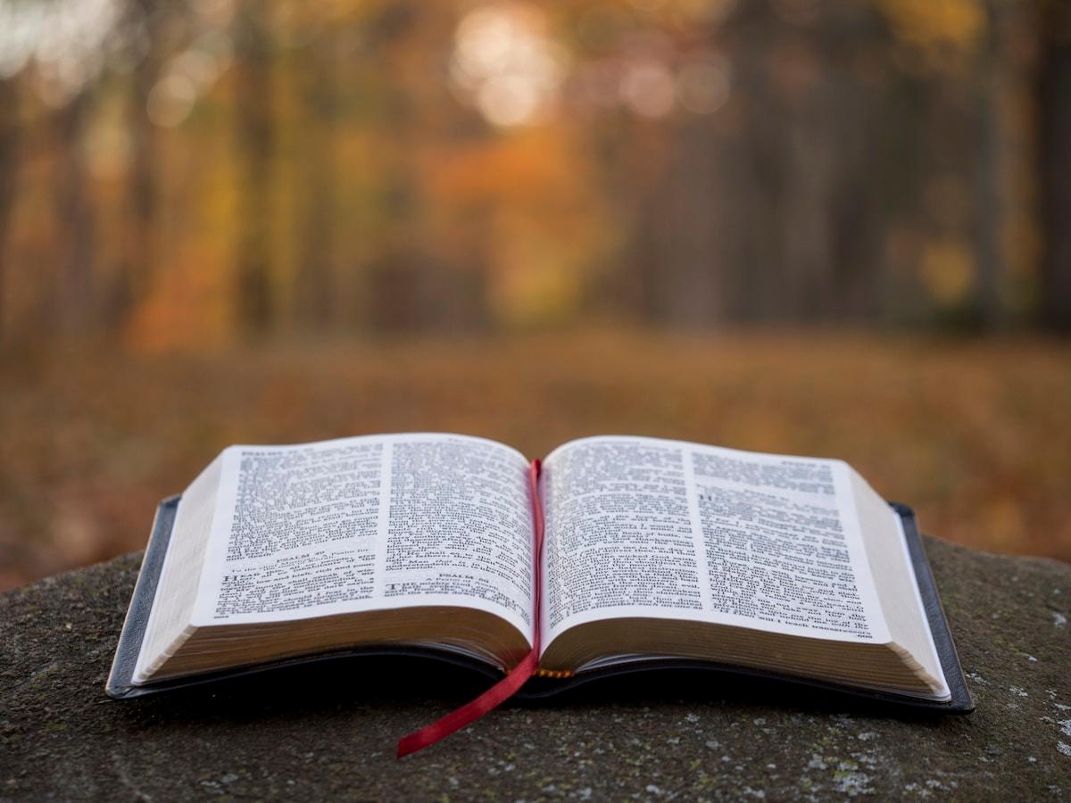 Open Bible resting on stone in autumn